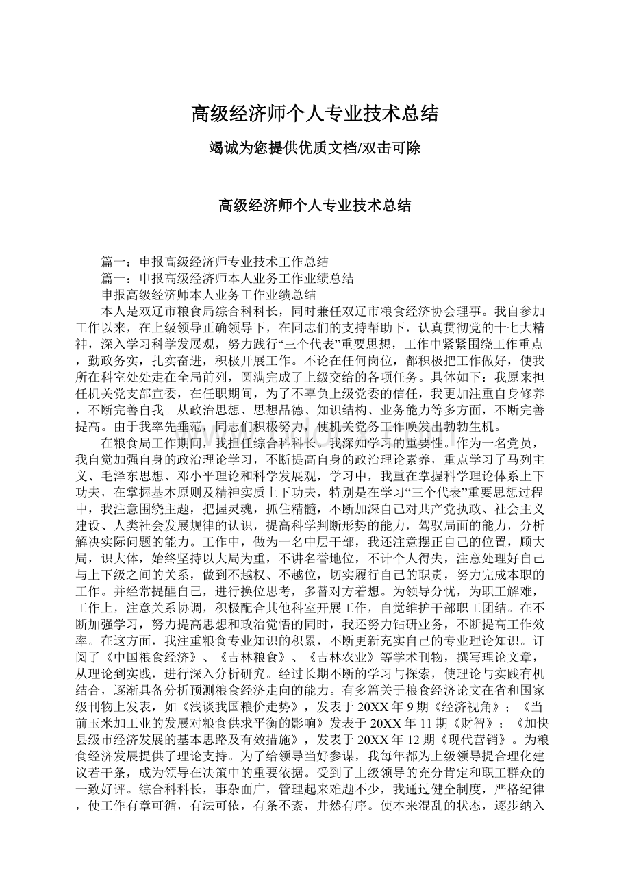 高级经济师个人专业技术总结.docx_第1页