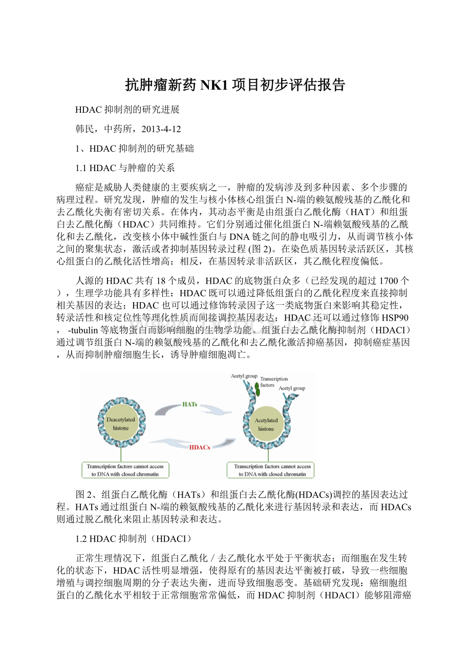 抗肿瘤新药NK1项目初步评估报告Word格式文档下载.docx_第1页