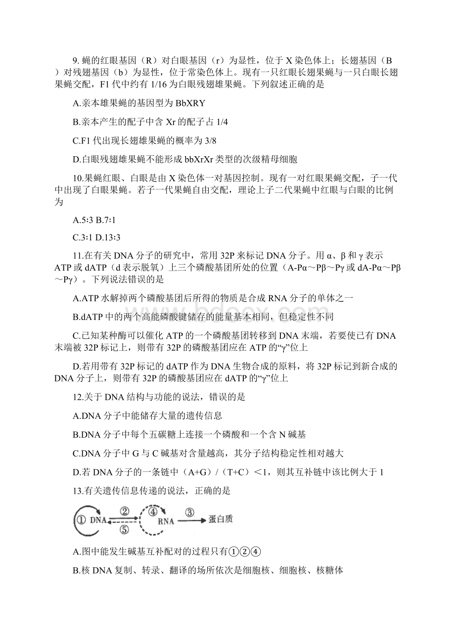 湖南省常德市届高三生物上学期检测考试试题Word文档格式.docx_第3页