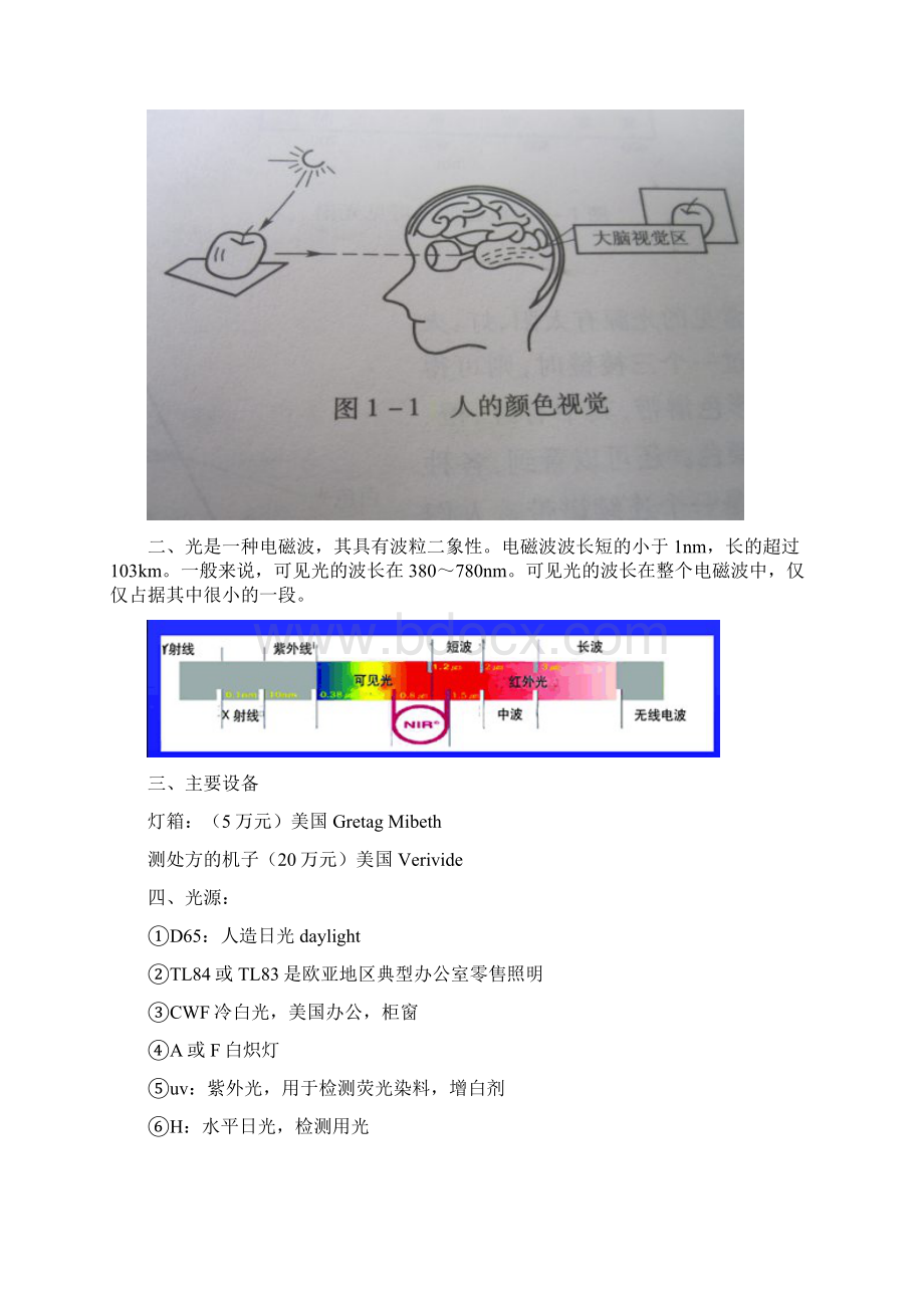 染色知识总结解析Word格式.docx_第2页