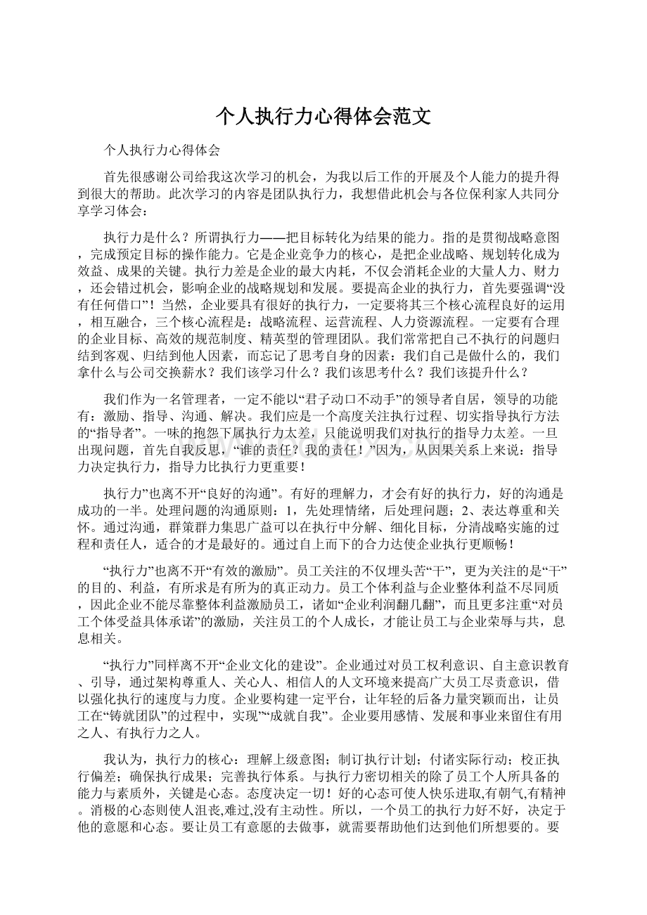 个人执行力心得体会范文Word文件下载.docx