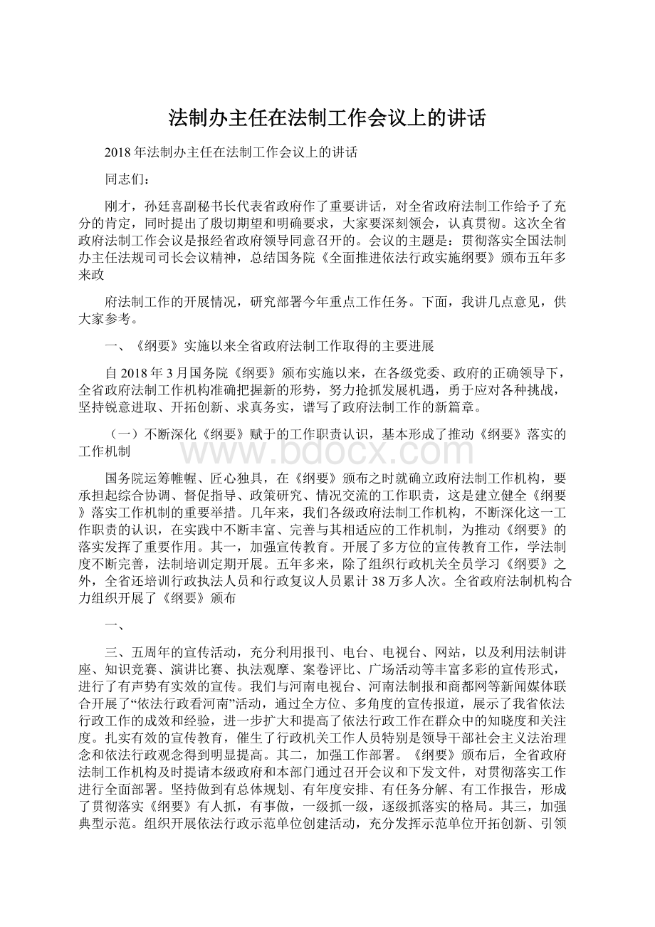 法制办主任在法制工作会议上的讲话Word文件下载.docx