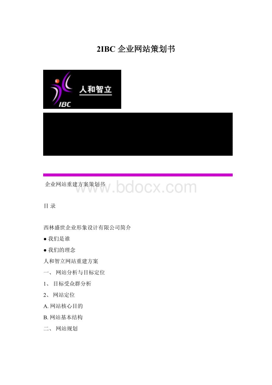 2IBC 企业网站策划书Word文档下载推荐.docx