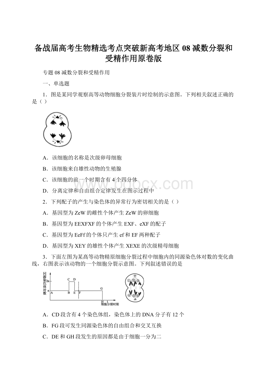 备战届高考生物精选考点突破新高考地区08 减数分裂和受精作用原卷版.docx_第1页