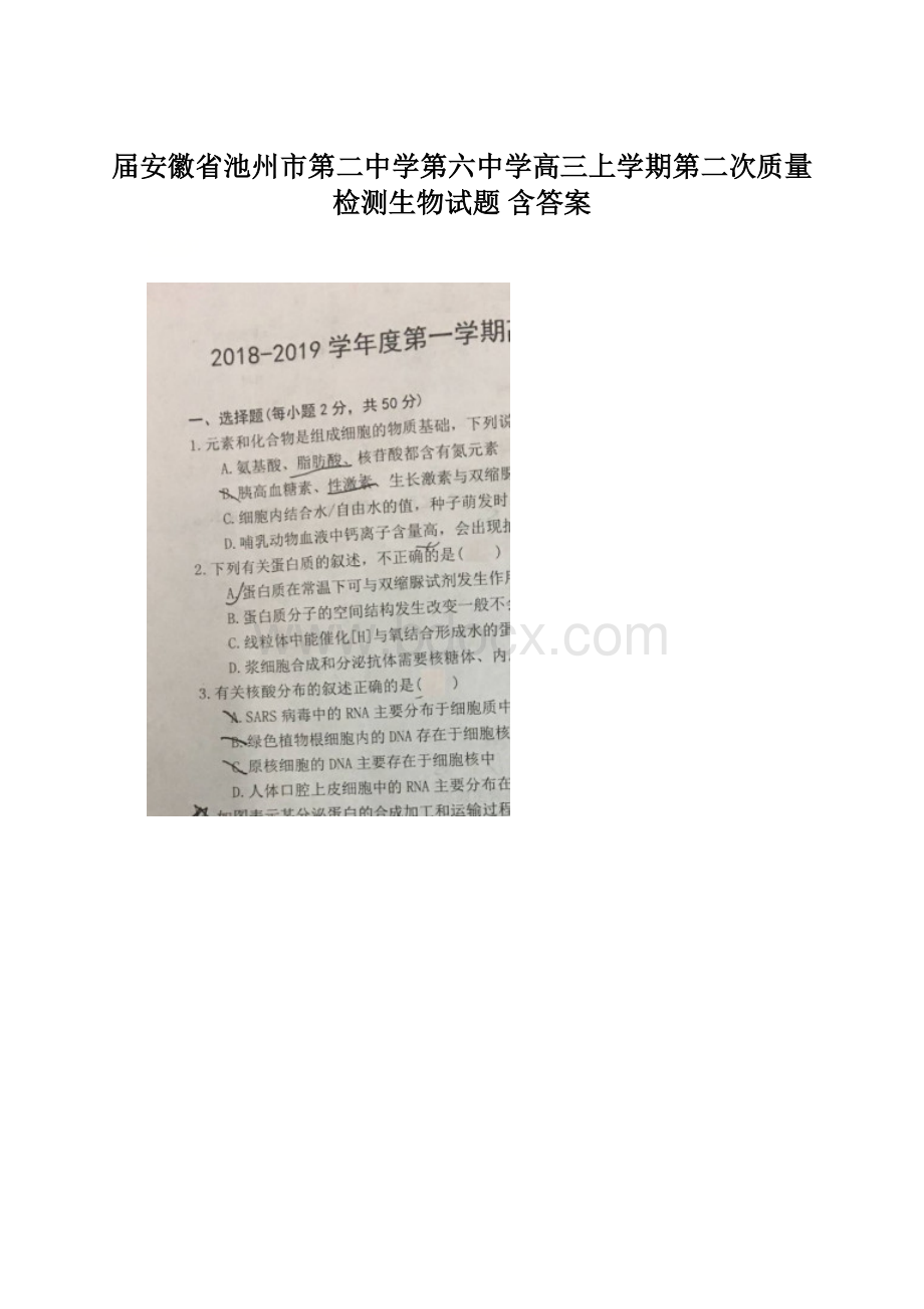 届安徽省池州市第二中学第六中学高三上学期第二次质量检测生物试题 含答案Word格式文档下载.docx