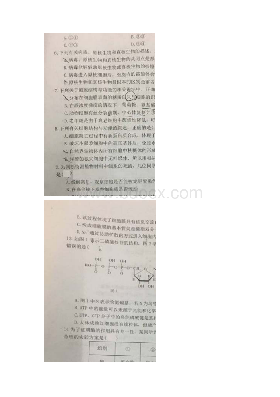 届安徽省池州市第二中学第六中学高三上学期第二次质量检测生物试题 含答案.docx_第2页