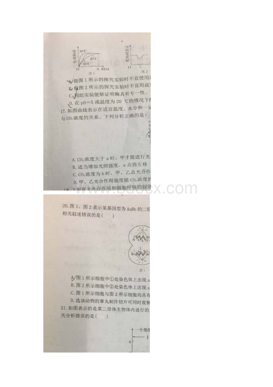 届安徽省池州市第二中学第六中学高三上学期第二次质量检测生物试题 含答案.docx_第3页