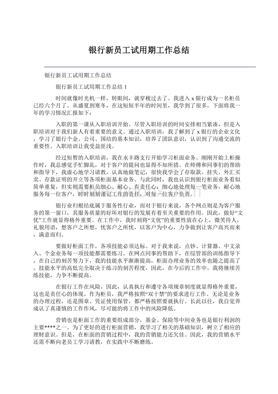 银行新员工试用期工作总结Word格式.docx