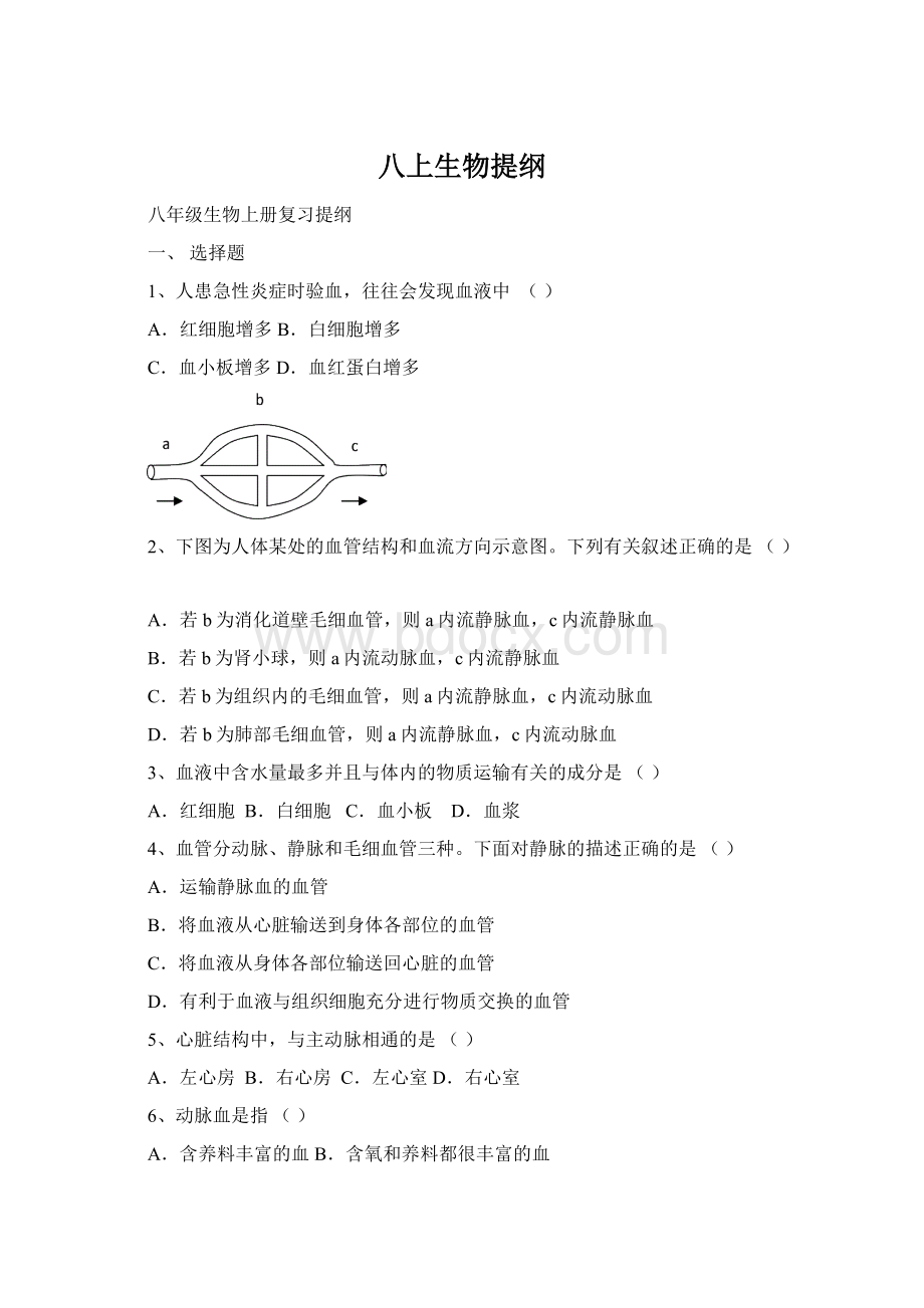 八上生物提纲.docx_第1页