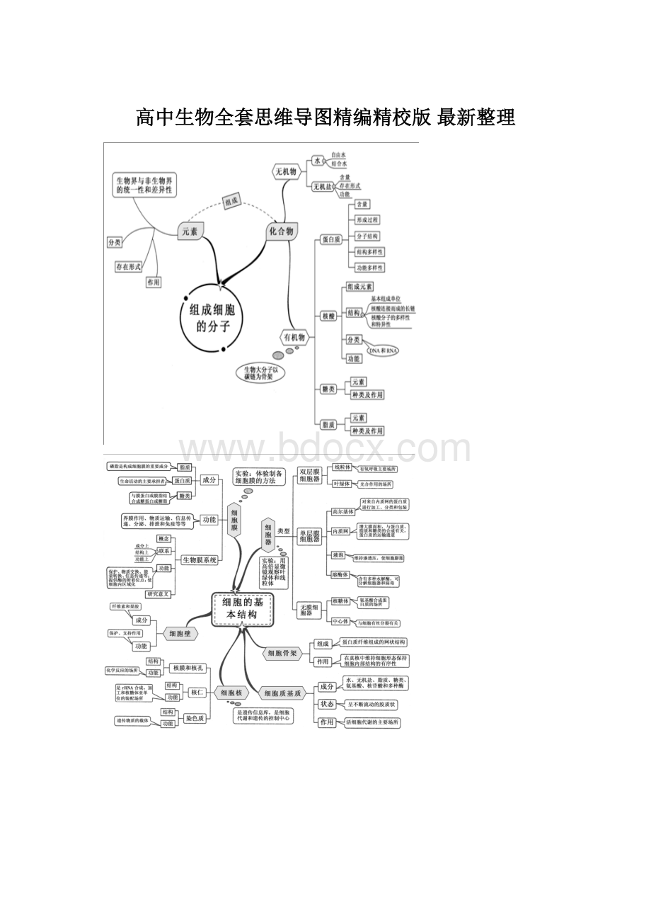高中生物全套思维导图精编精校版 最新整理.docx