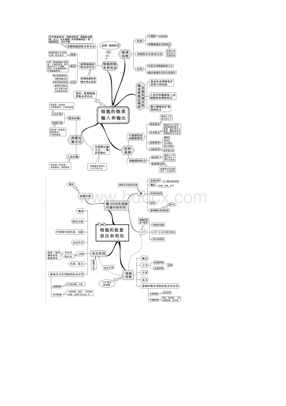 高中生物全套思维导图精编精校版 最新整理.docx_第2页