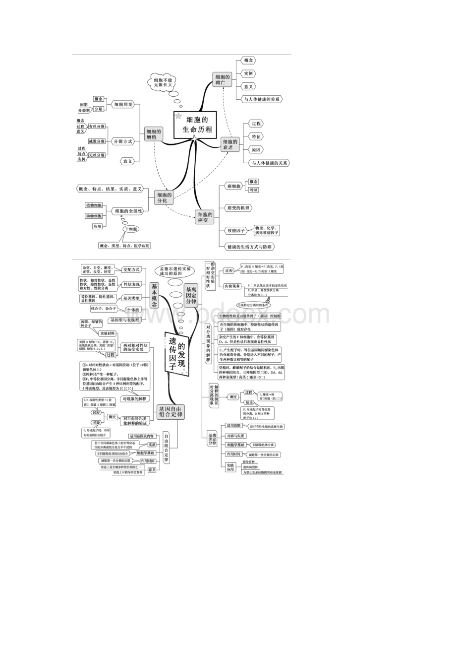 高中生物全套思维导图精编精校版 最新整理.docx_第3页