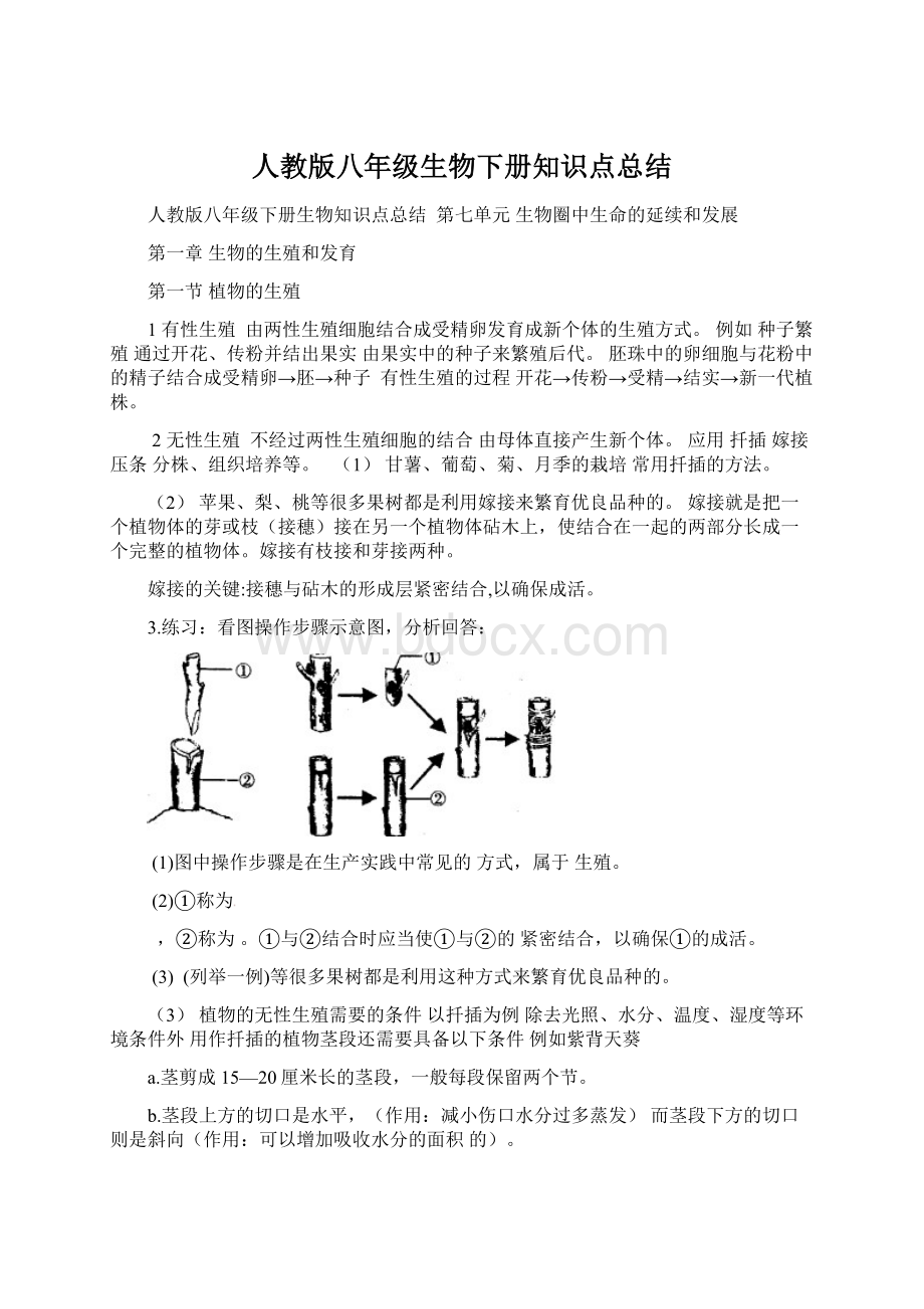 人教版八年级生物下册知识点总结.docx_第1页