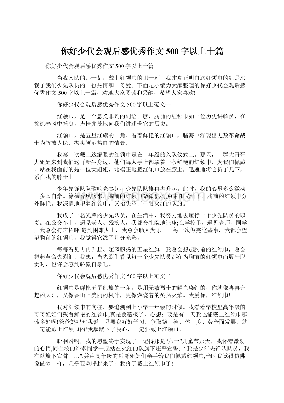 你好少代会观后感优秀作文500字以上十篇.docx