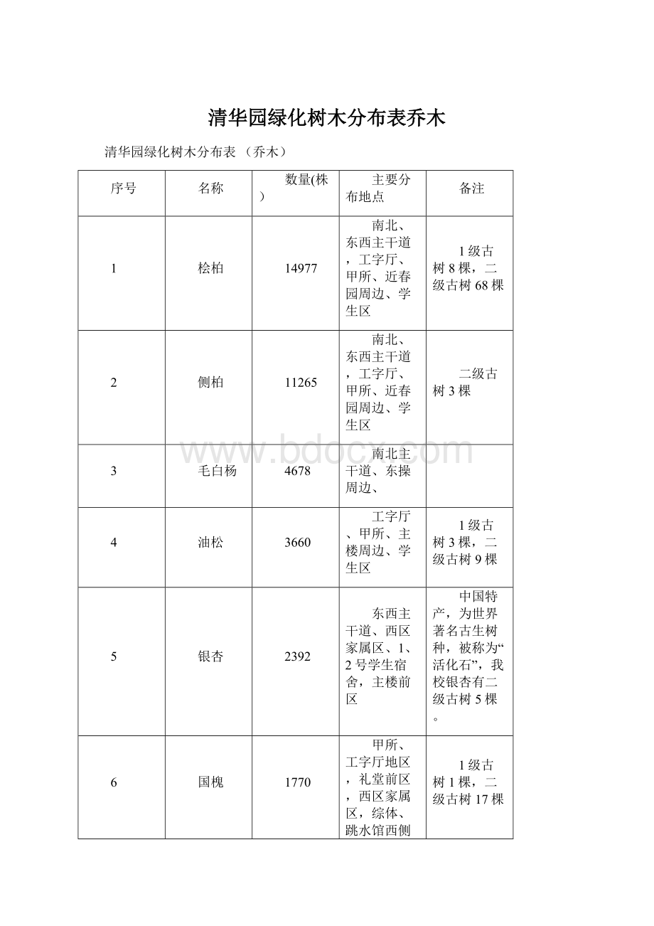 清华园绿化树木分布表乔木Word格式.docx