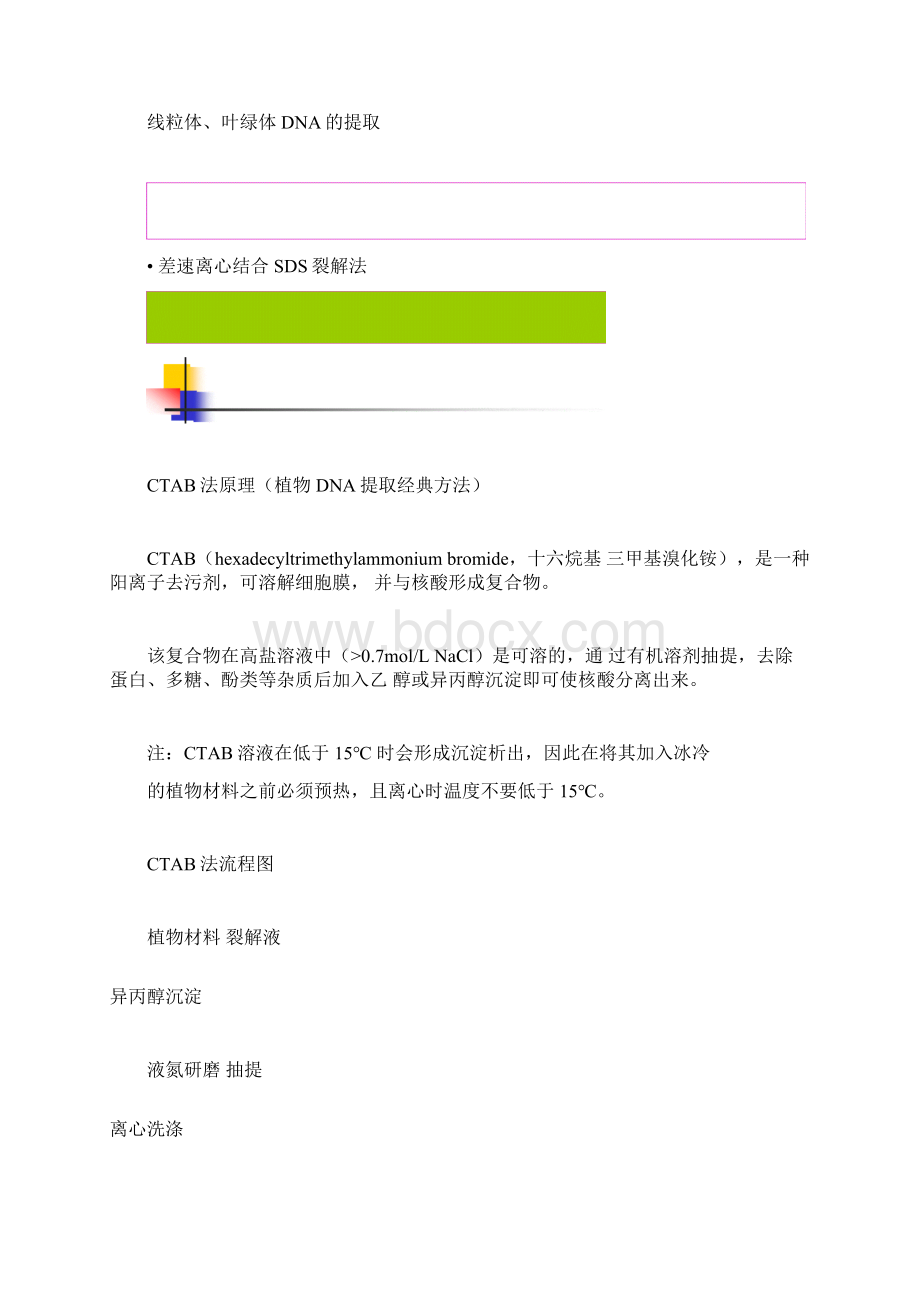 DNA提取和常见问题分析及对策.docx_第3页