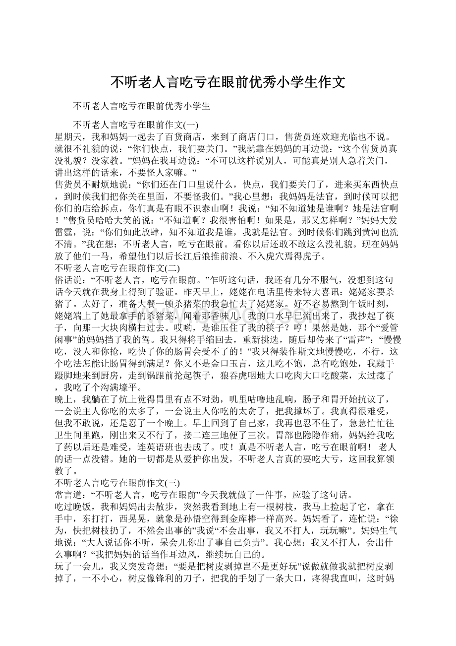 不听老人言吃亏在眼前优秀小学生作文Word格式.docx_第1页