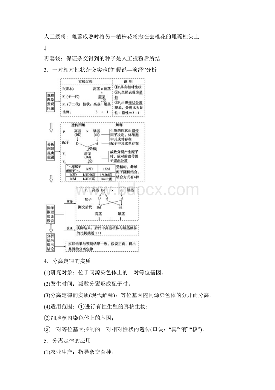 高中生物一轮复习讲义第5单元 1 第15讲基因的分离定律.docx_第2页