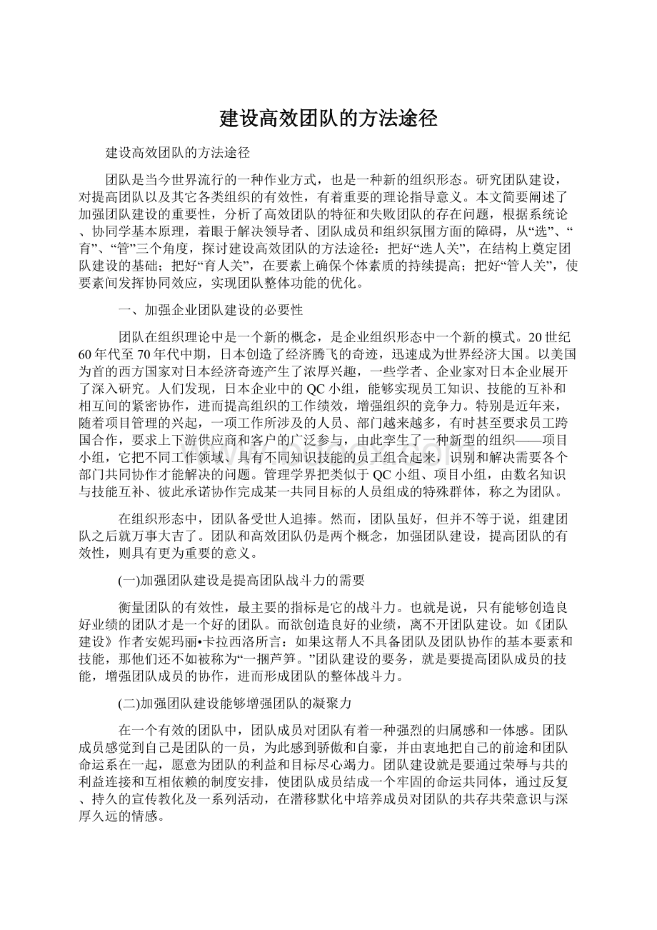 建设高效团队的方法途径Word格式文档下载.docx