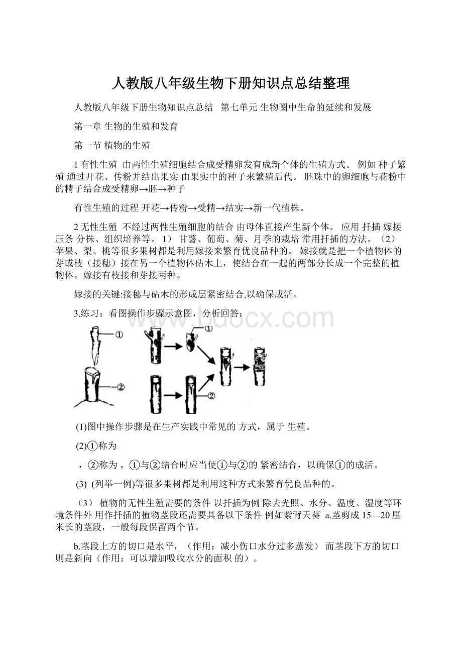 人教版八年级生物下册知识点总结整理.docx