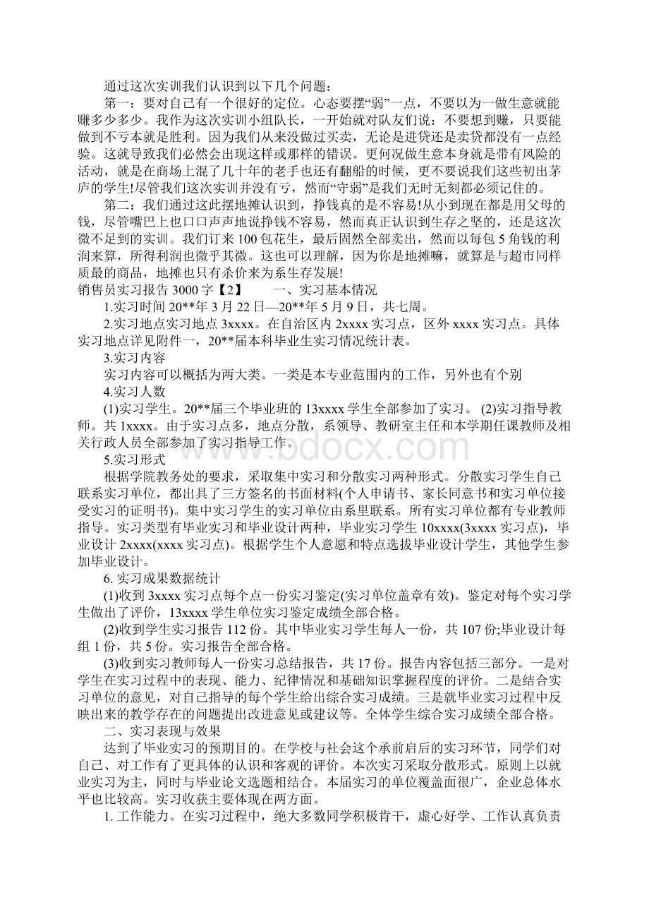 销售员实习报告3000字Word格式文档下载.docx_第2页