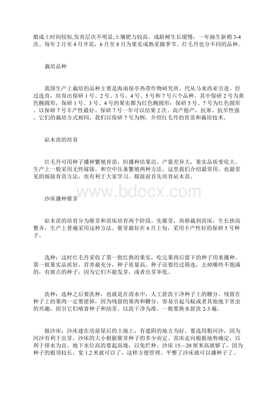 红毛丹栽培技术文档格式.docx_第2页