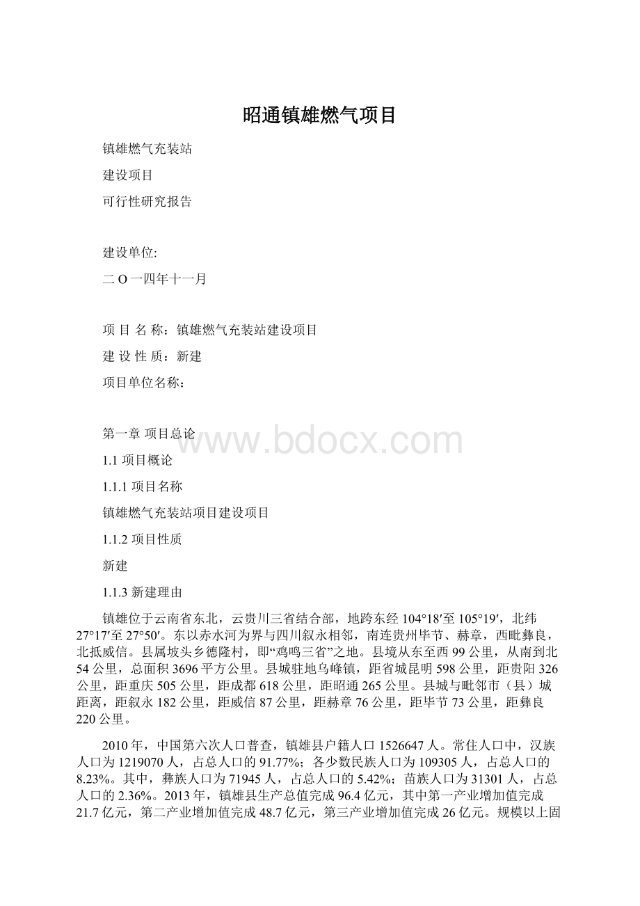 昭通镇雄燃气项目Word格式文档下载.docx