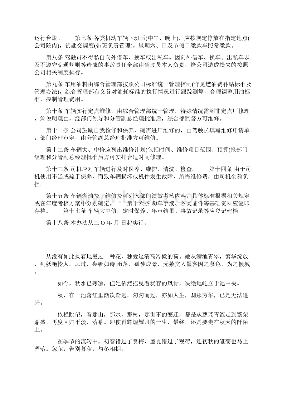 车辆管理规定实施细则最新范文.docx_第3页