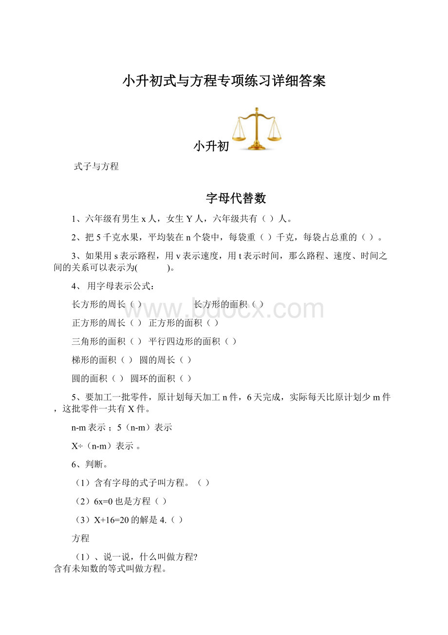 小升初式与方程专项练习详细答案.docx