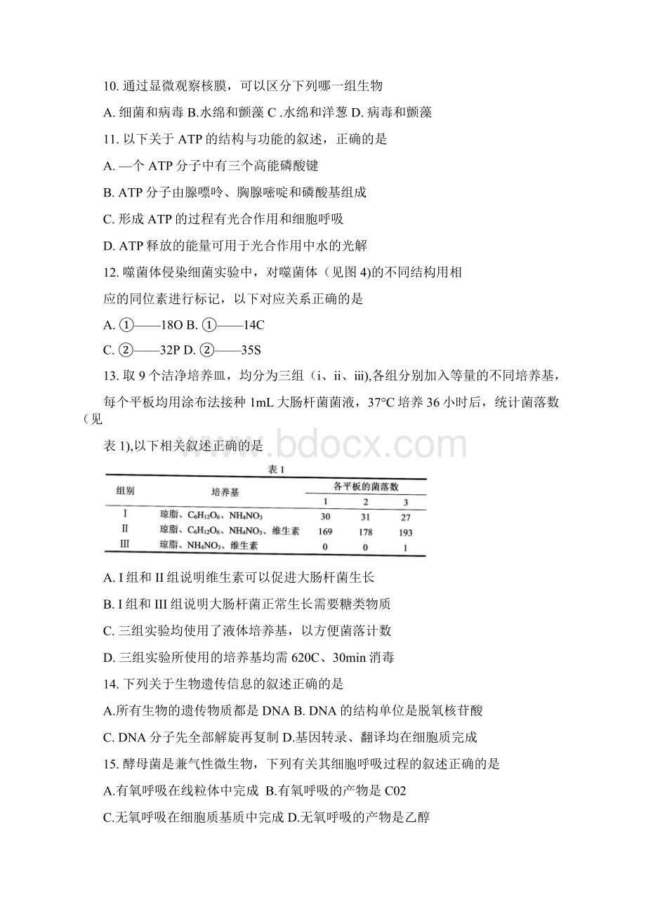 上海市静安区届高三上学期期末教学质量检测科学试题 Word版含答案.docx_第3页