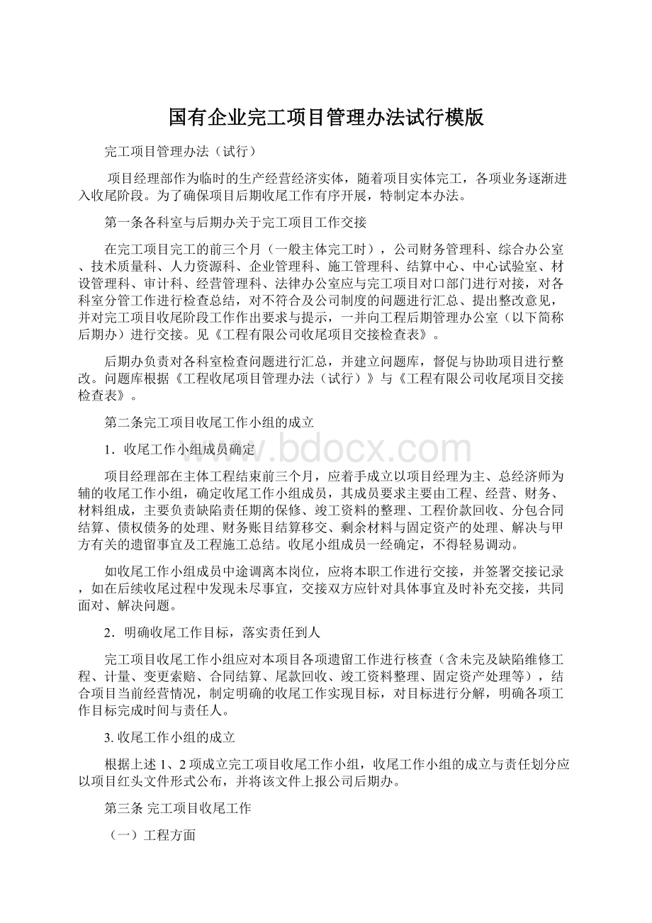 国有企业完工项目管理办法试行模版Word下载.docx