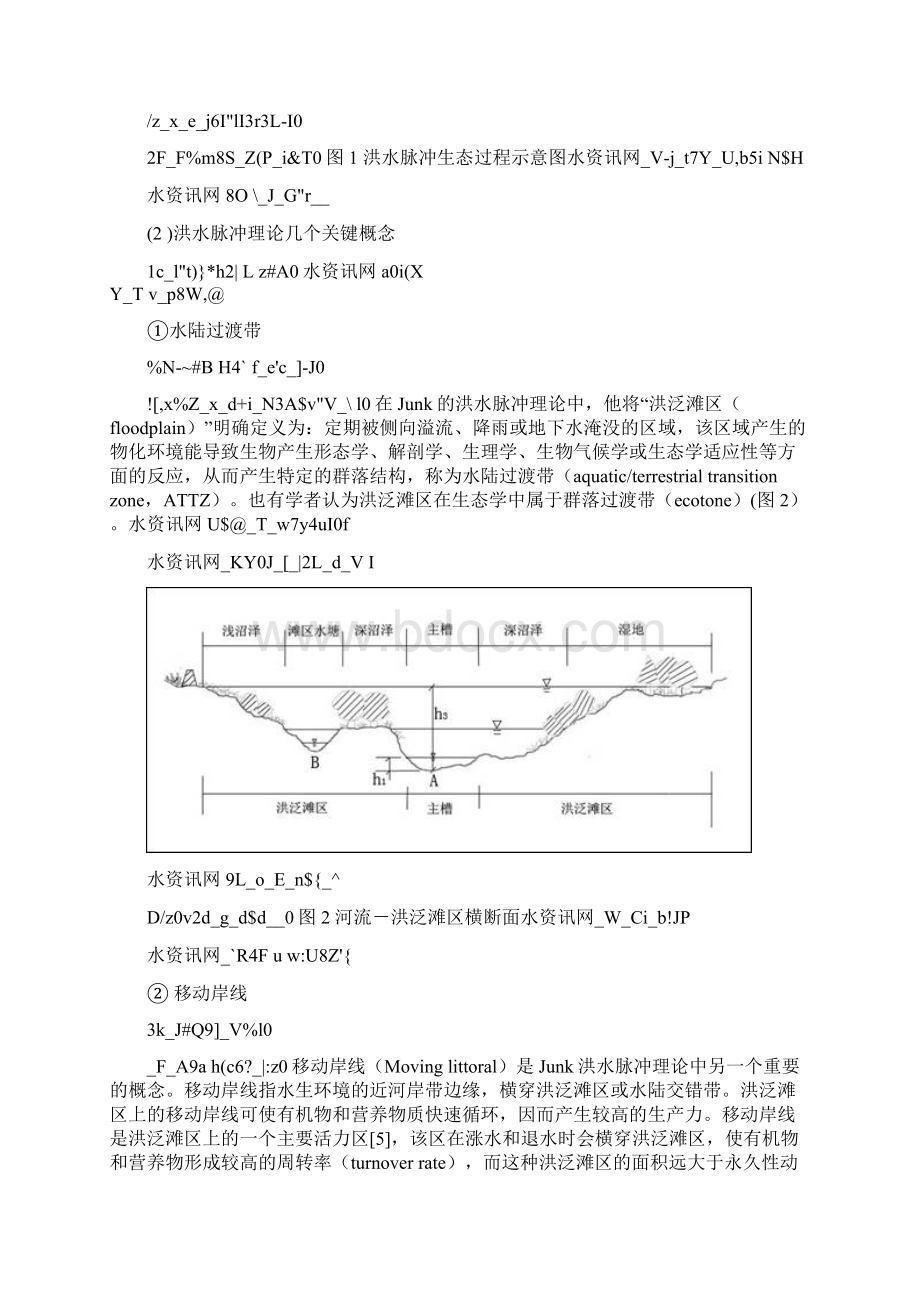 洪水脉冲理论及其在河流生态修复中的应用.docx_第3页