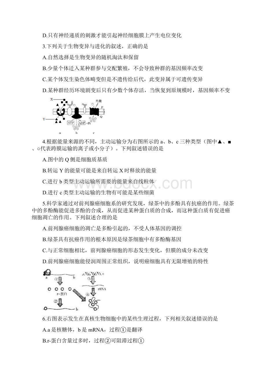 高三模拟检测理科综合试题含答案.docx_第2页