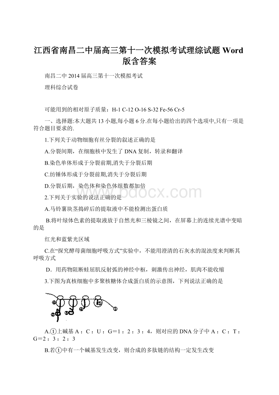 江西省南昌二中届高三第十一次模拟考试理综试题 Word版含答案.docx_第1页