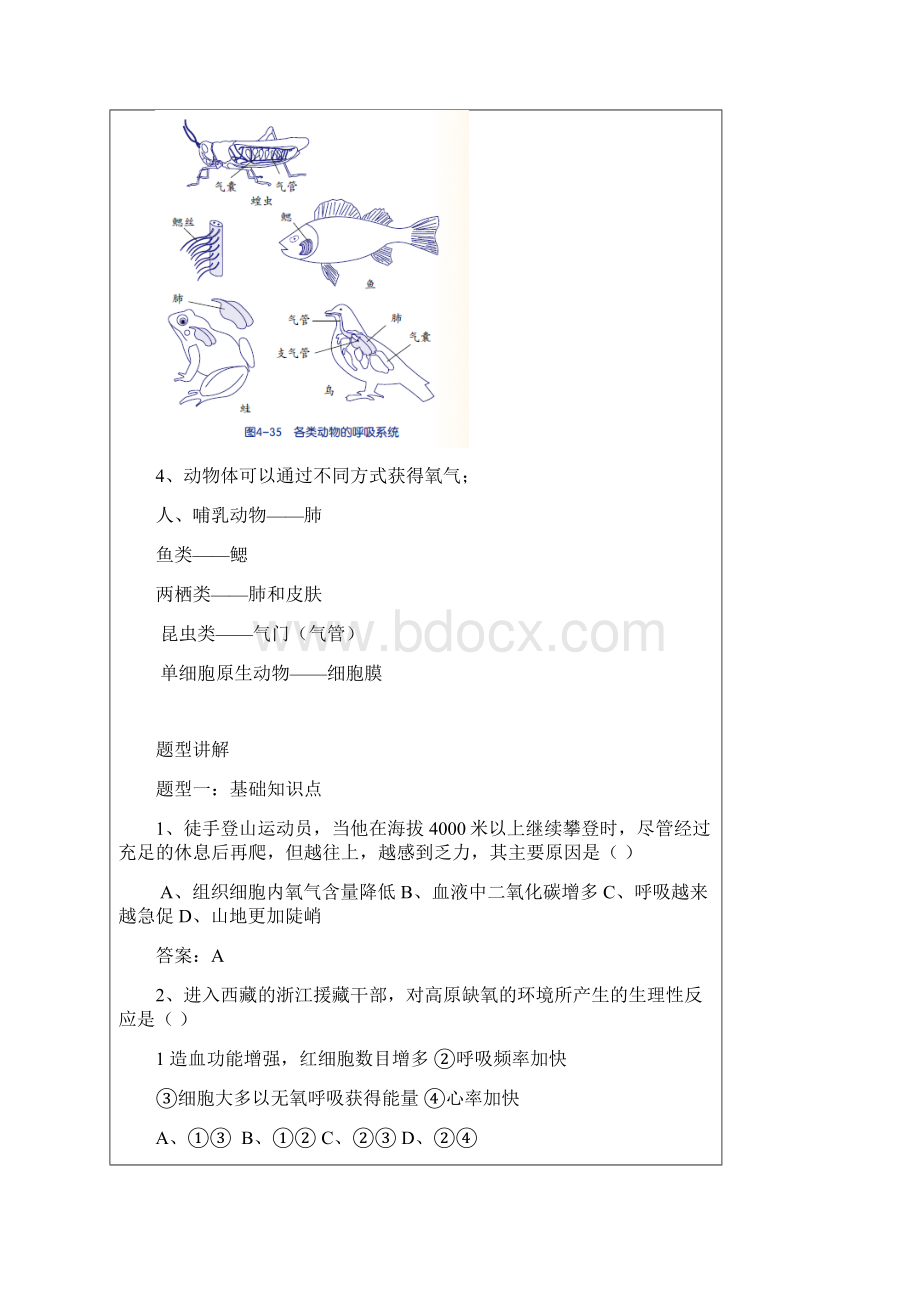 第四单元能量的获得营养物质的利用.docx_第3页