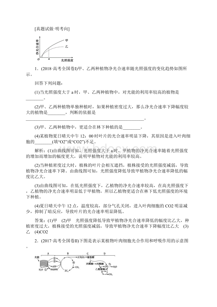 高考生物二轮复习专题二细胞的代谢第二讲光合作用与细胞呼吸学案Word格式文档下载.docx_第3页