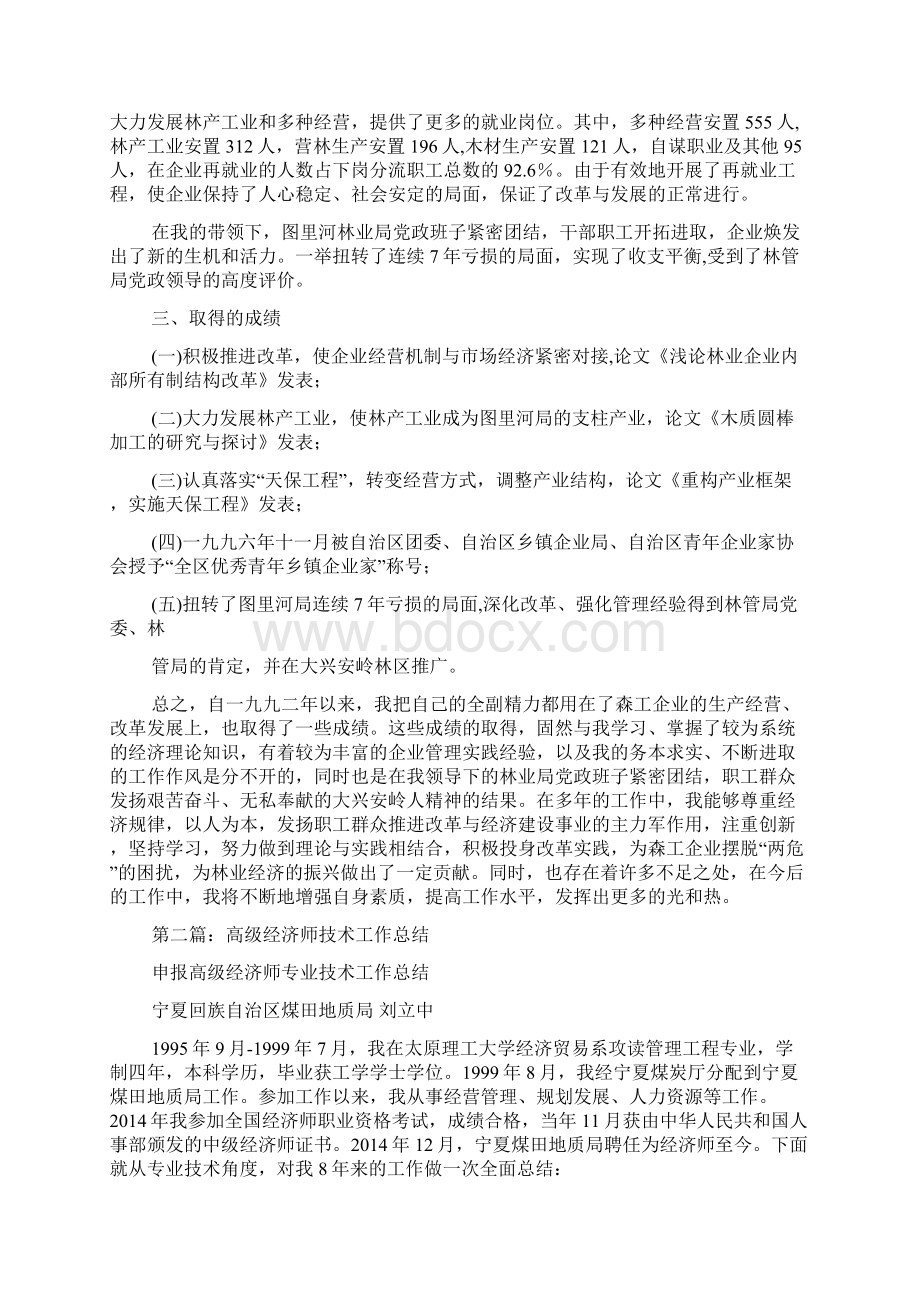 高级经济师专业技术工作总结精选多篇.docx_第3页