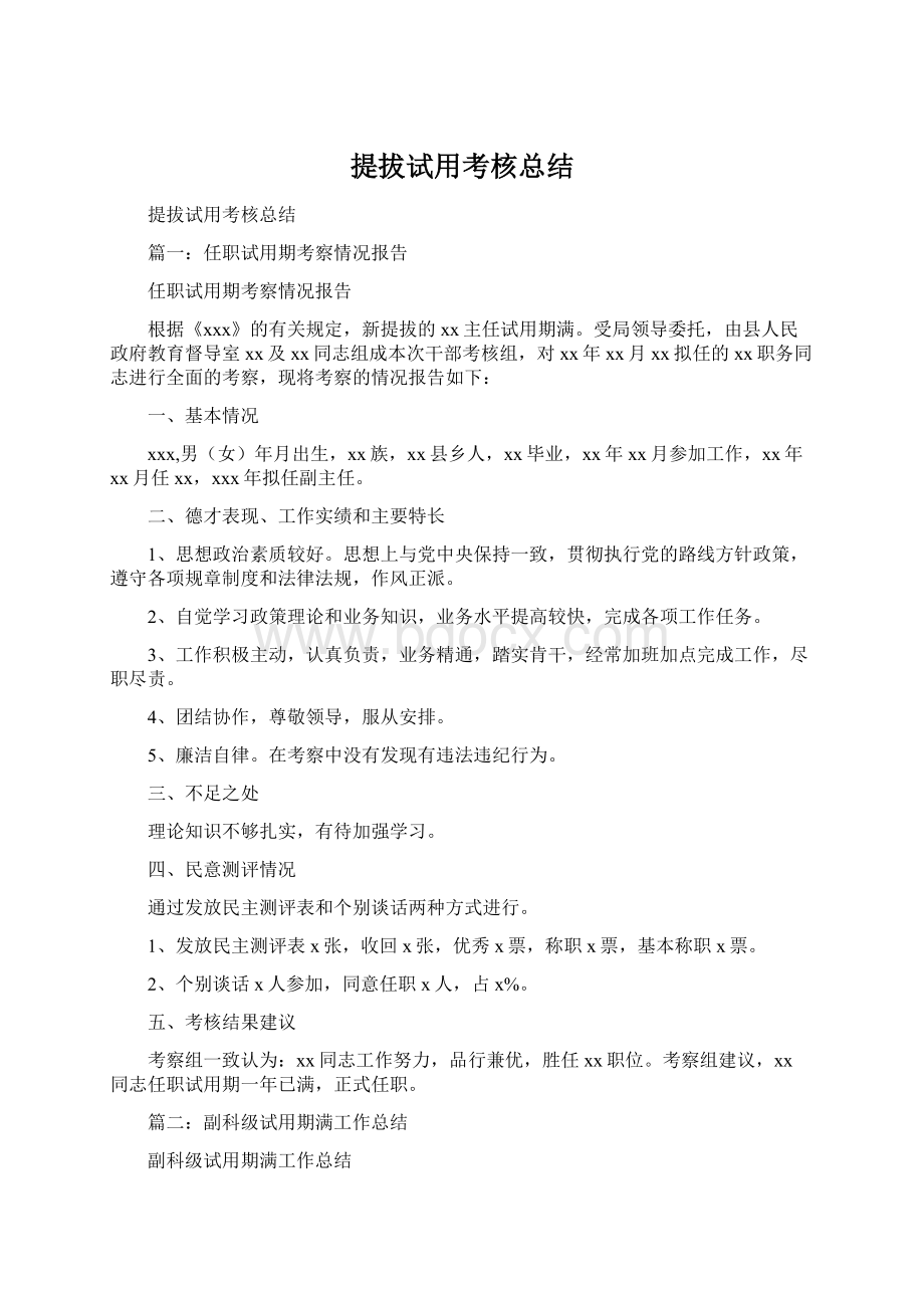 提拔试用考核总结.docx