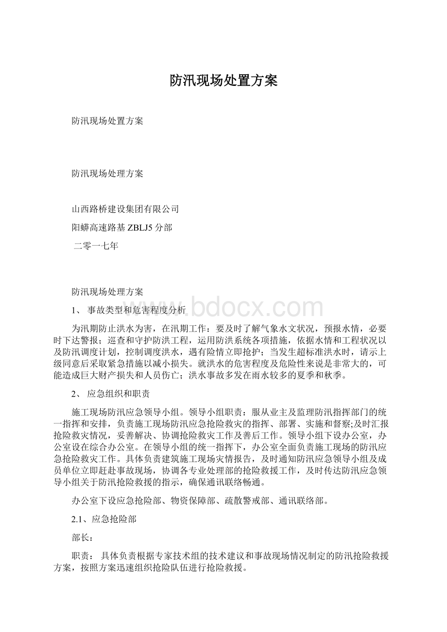 防汛现场处置方案Word格式.docx_第1页