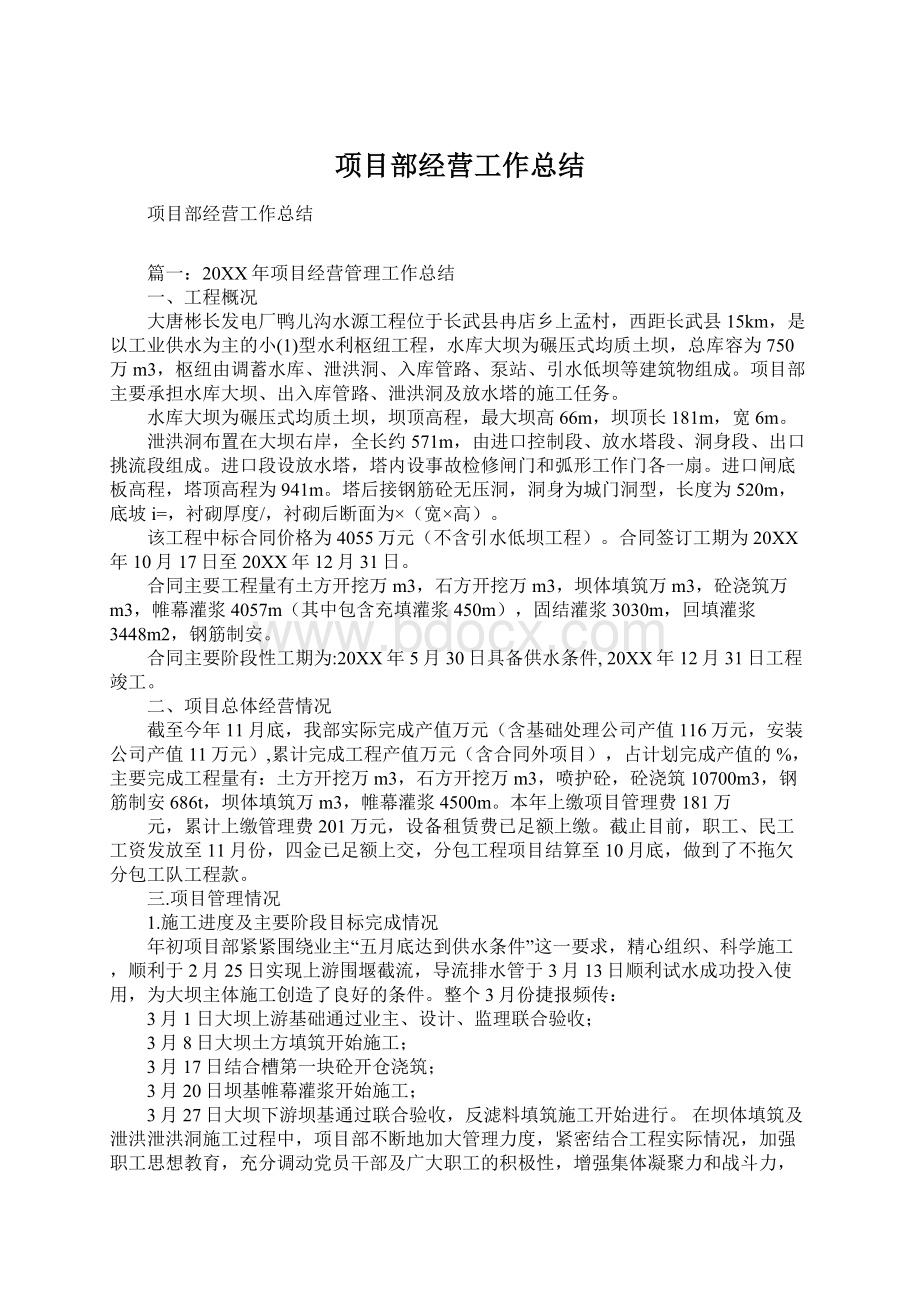 项目部经营工作总结Word格式文档下载.docx