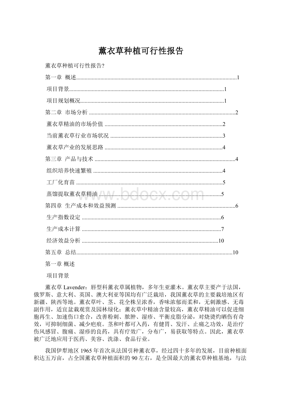 薰衣草种植可行性报告Word文件下载.docx_第1页