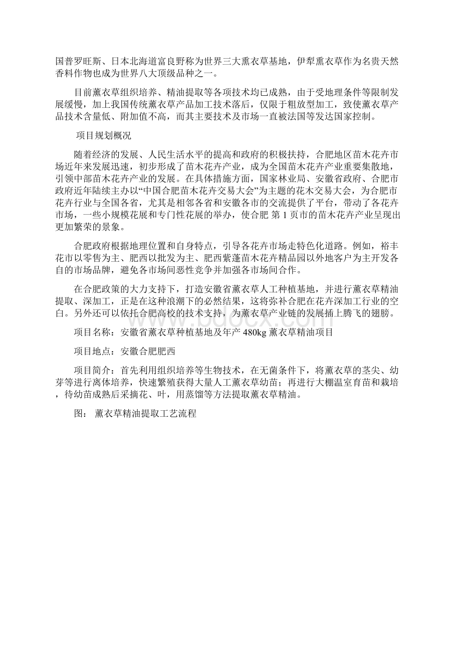 薰衣草种植可行性报告Word文件下载.docx_第2页