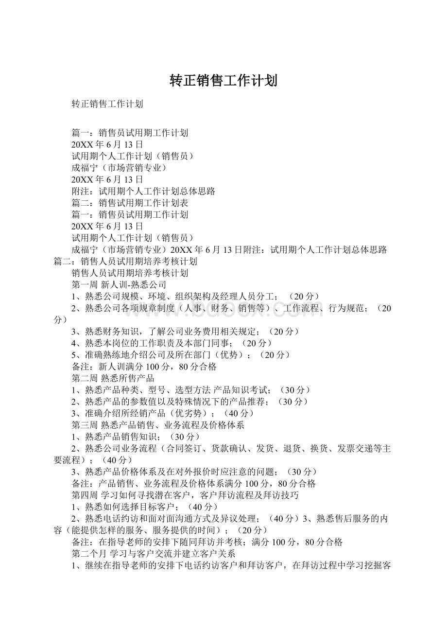 转正销售工作计划.docx_第1页