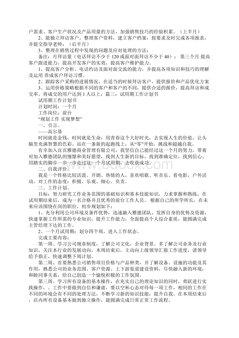 转正销售工作计划.docx_第2页