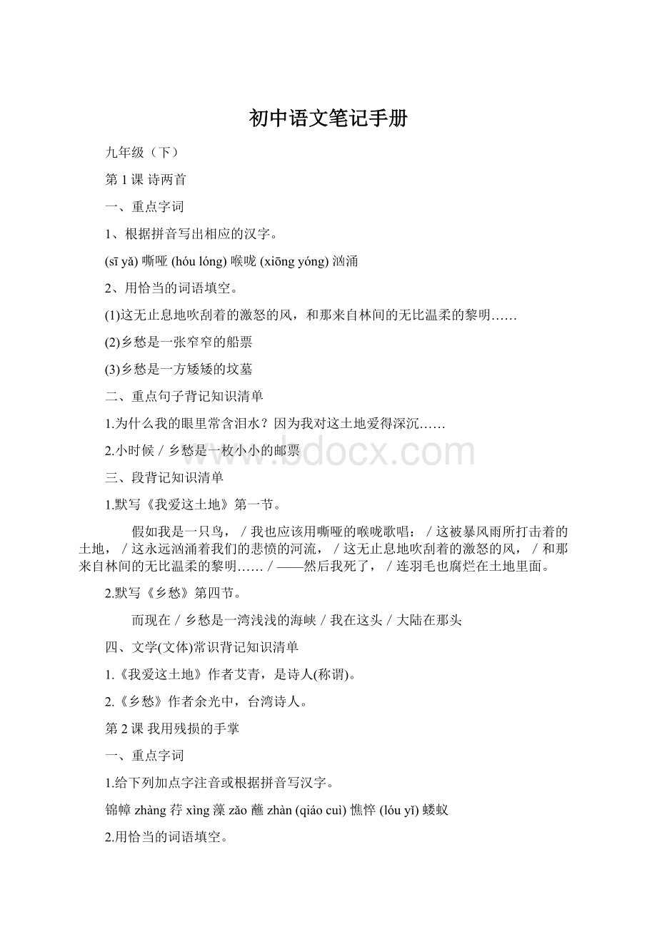 初中语文笔记手册文档格式.docx