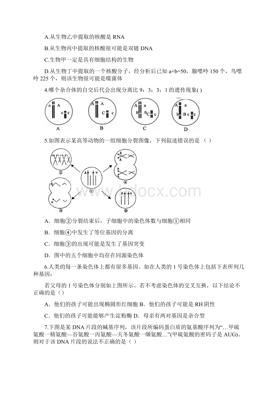 高考生物专题遗传专题文档格式.docx_第2页