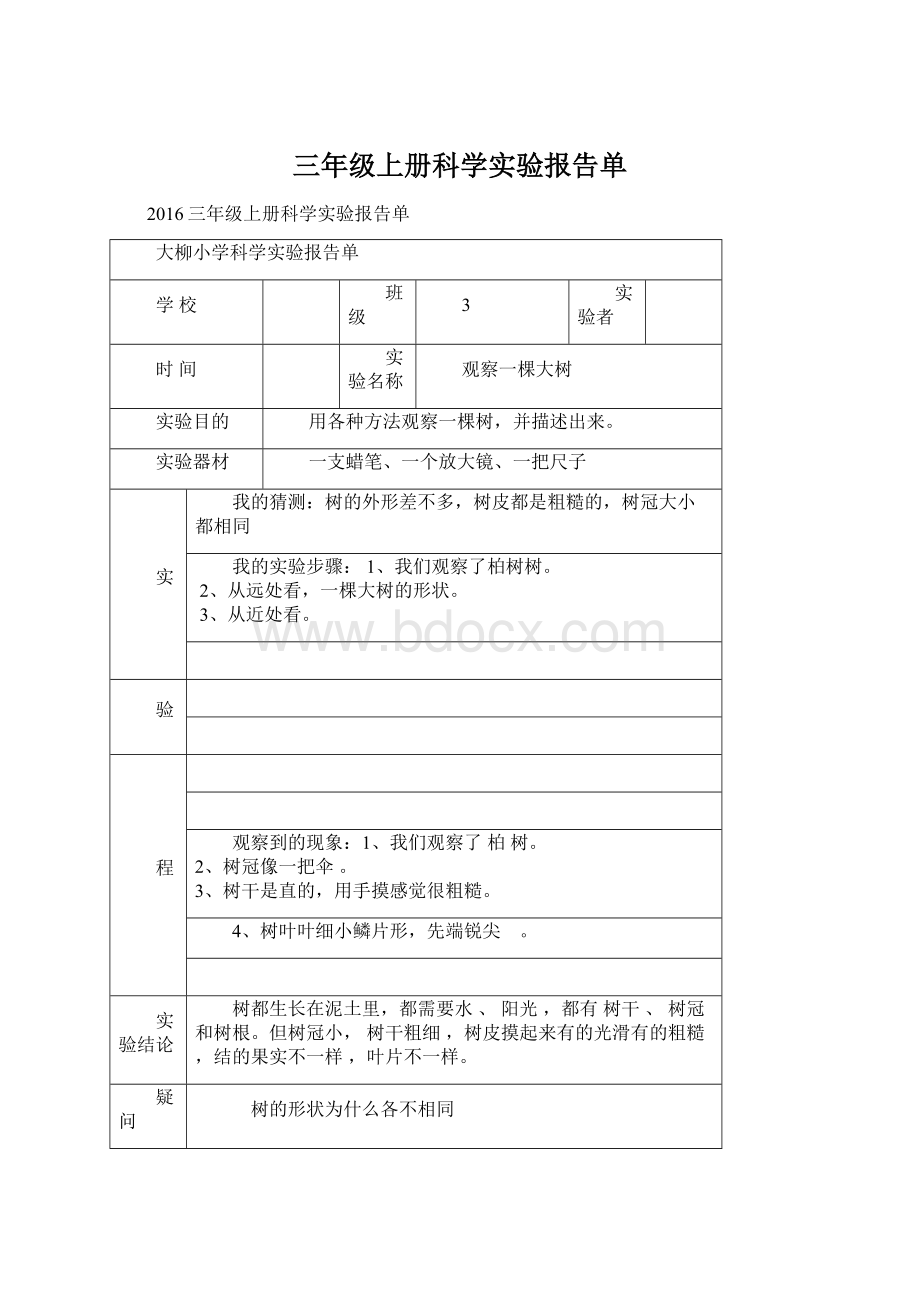 三年级上册科学实验报告单Word文件下载.docx