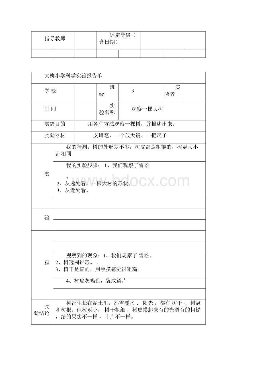 三年级上册科学实验报告单Word文件下载.docx_第2页