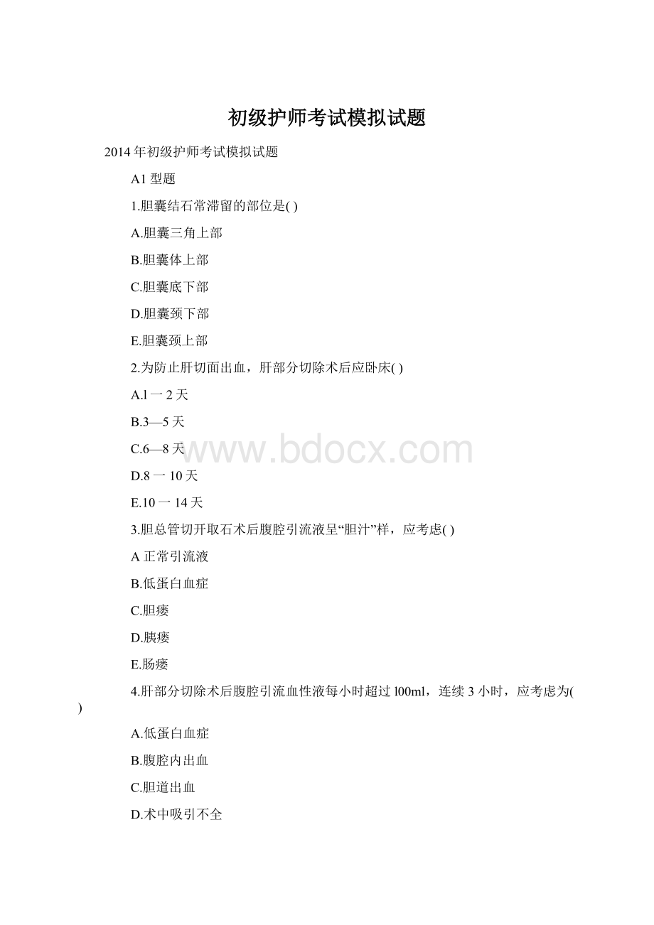 初级护师考试模拟试题.docx