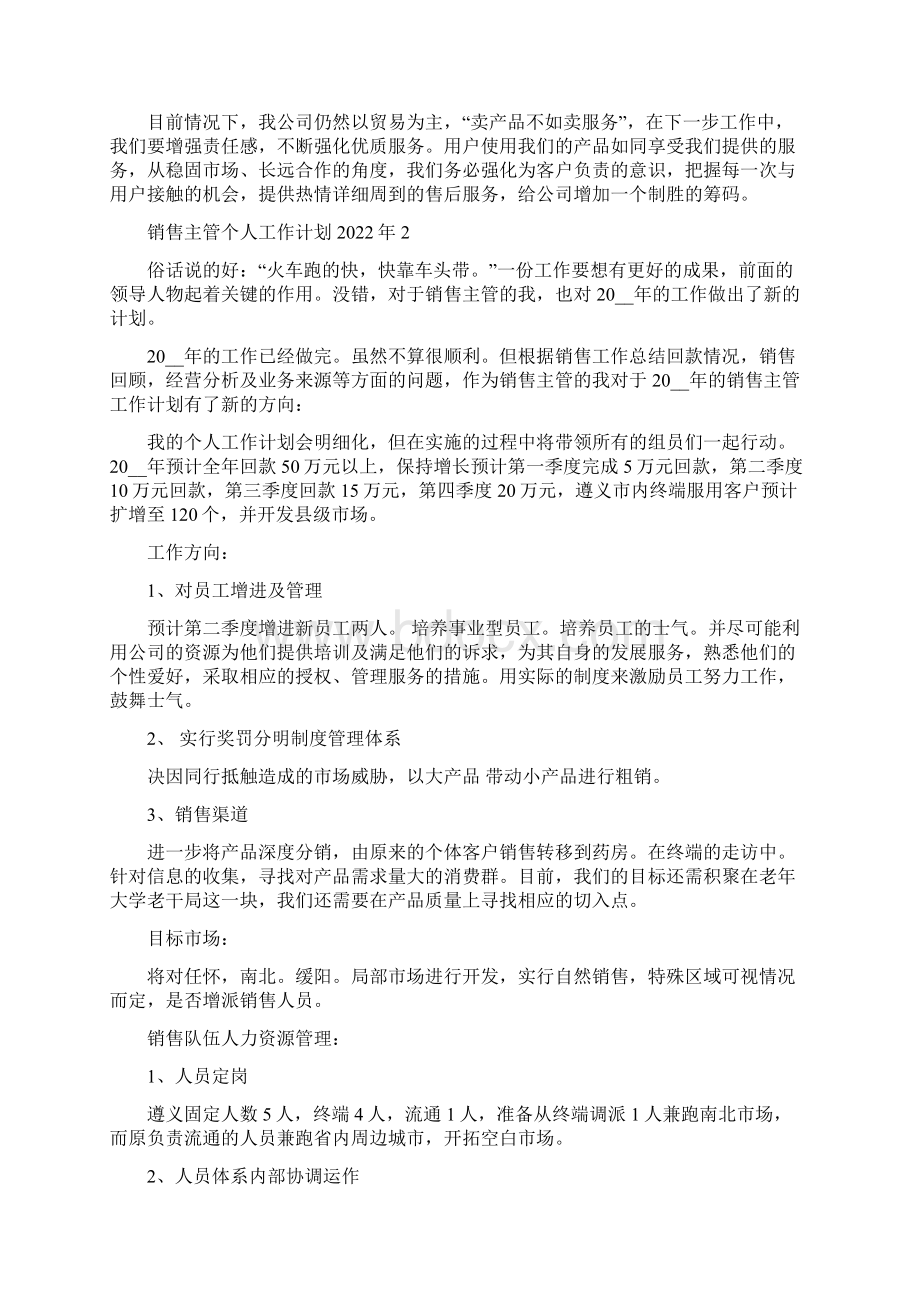 销售主管个人工作计划.docx_第2页